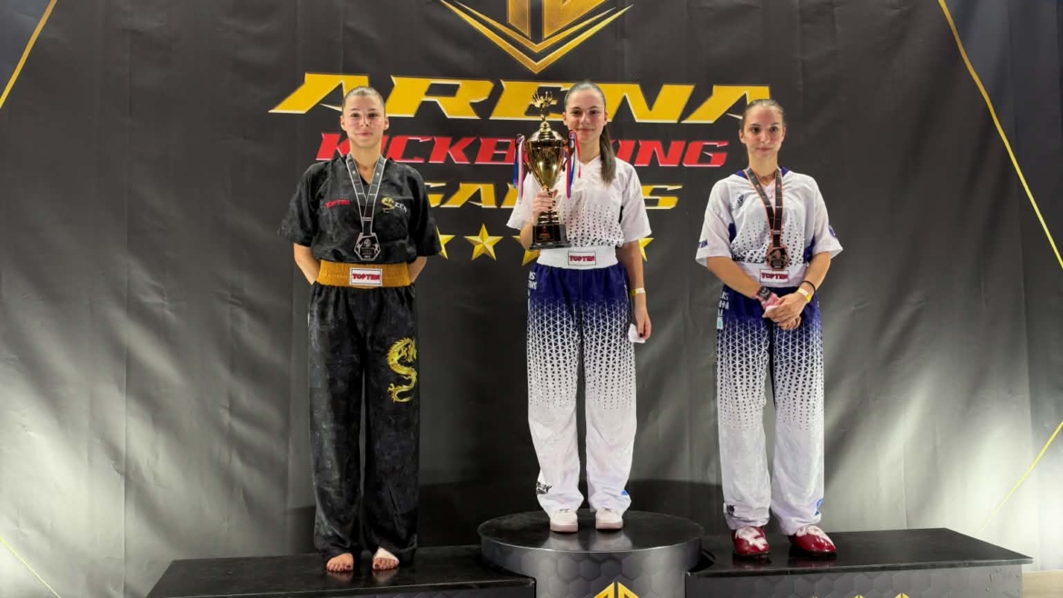 ARENA KICKBOXING GAMES